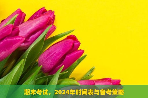 期末考试，2024年时间表与备考策略