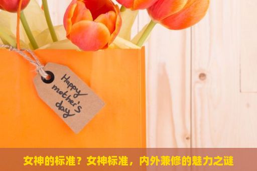 女神的标准？女神标准，内外兼修的魅力之谜