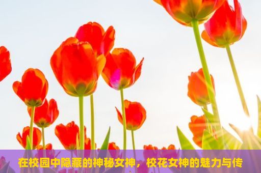 在校园中隐藏的神秘女神，校花女神的魅力与传奇