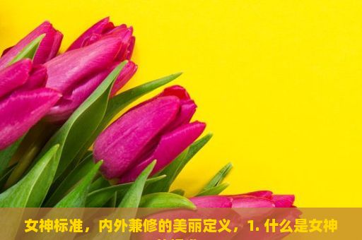 女神标准，内外兼修的美丽定义，1. 什么是女神的标准？