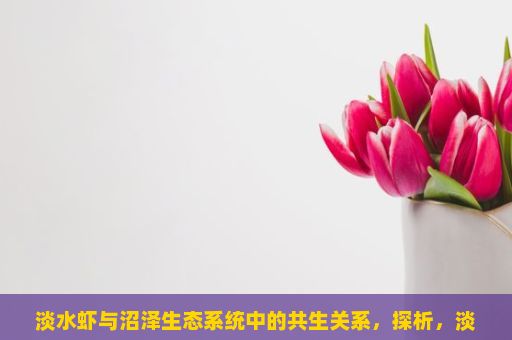 淡水虾与沼泽生态系统中的共生关系，探析，淡水虾的秘密世界，从生态到餐桌的探索