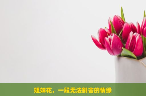 姐妹花，一段无法割舍的情缘