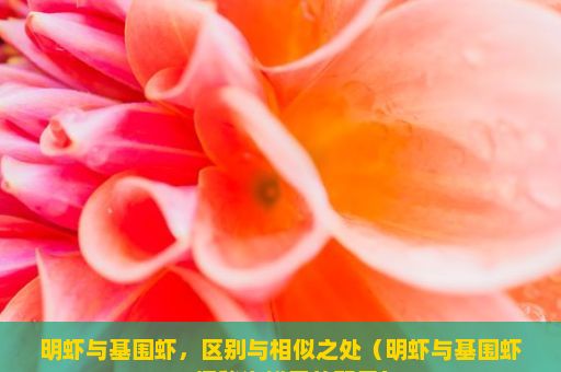 明虾与基围虾，区别与相似之处（明虾与基围虾，探秘海鲜界的双星）