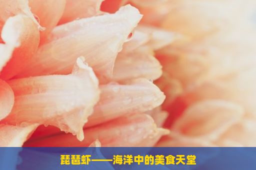 琵琶虾——海洋中的美食天堂