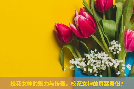 校花女神的魅力与传奇，校花女神的真实身份？