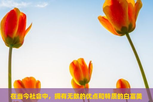 在当今社会中，拥有无数的优点和特质的白富美似乎已经成为了人们对美的定义。许多人会问，什么是白富美？虽然白富美是指具有极高经济和社会地位的人，但在一些领域，我们也应该注意到她们的一些内在特征。例如，白富美往往更注重道德、人格品质和爱心等方面，而不是物质财富。，白富美，现代社会的独特魅力与多元解读