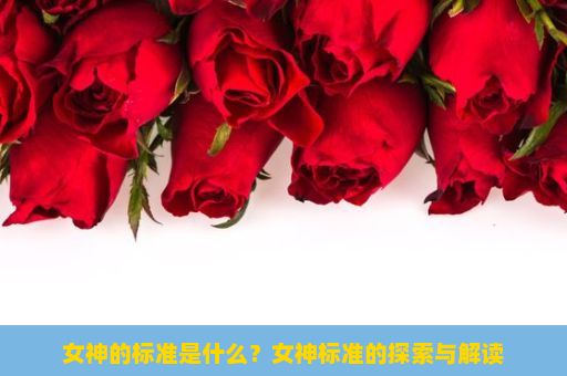 女神的标准是什么？女神标准的探索与解读