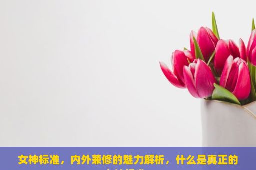 女神标准，内外兼修的魅力解析，什么是真正的女神标准？