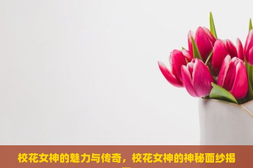 校花女神的魅力与传奇，校花女神的神秘面纱揭开