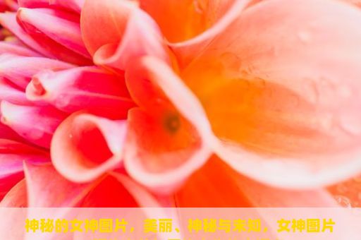 神秘的女神图片，美丽、神秘与未知，女神图片，现代审美与网络文化的交汇点