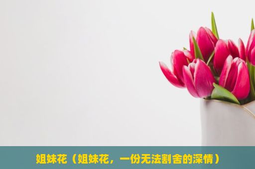 姐妹花（姐妹花，一份无法割舍的深情）