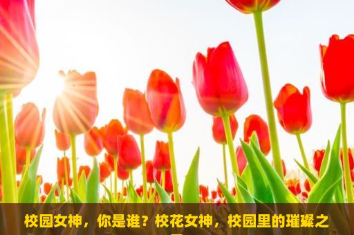 校园女神，你是谁？校花女神，校园里的璀璨之星