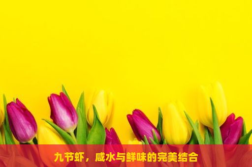 九节虾，咸水与鲜味的完美结合