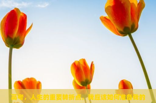 高考，人生的重要转折点，我应该如何准备我的高考？