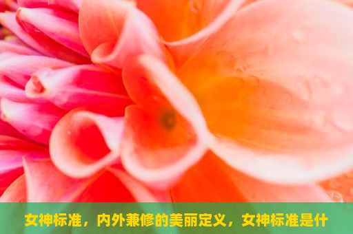 女神标准，内外兼修的美丽定义，女神标准是什么？