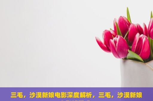 三毛，沙漠新娘电影深度解析，三毛，沙漠新娘电影好看吗？