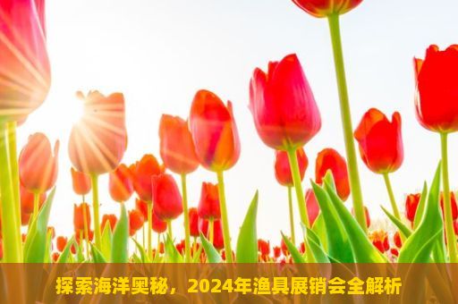 探索海洋奥秘，2024年渔具展销会全解析