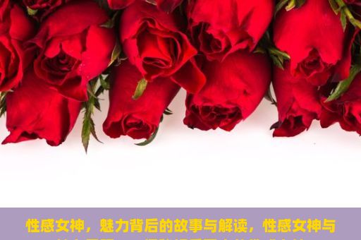 性感女神，魅力背后的故事与解读，性感女神与魅力无限——探秘娱乐圈中的性感女神