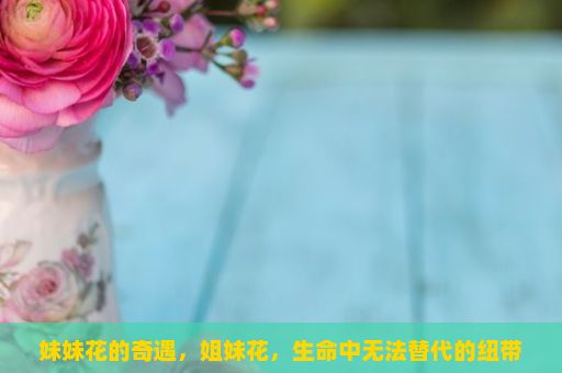 妹妹花的奇遇，姐妹花，生命中无法替代的纽带