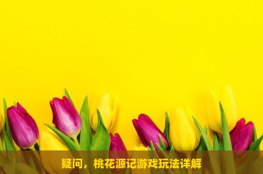 疑问，桃花源记游戏玩法详解