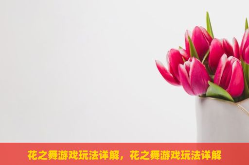 花之舞游戏玩法详解，花之舞游戏玩法详解