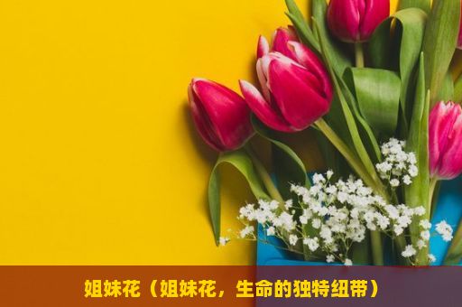 姐妹花（姐妹花，生命的独特纽带）