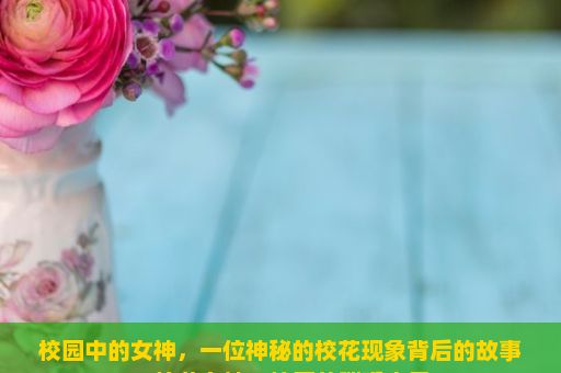 校园中的女神，一位神秘的校花现象背后的故事，校花女神，校园的璀璨之星