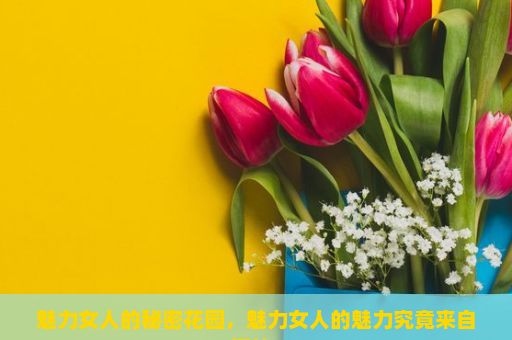 魅力女人的秘密花园，魅力女人的魅力究竟来自何处？