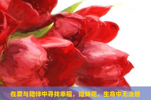 在爱与陪伴中寻找幸福，姐妹花，生命中无法替代的珍贵纽带