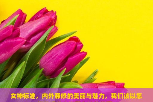 女神标准，内外兼修的美丽与魅力，我们该以怎样的标准来衡量女神的美丽？