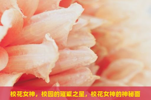 校花女神，校园的璀璨之星，校花女神的神秘面纱