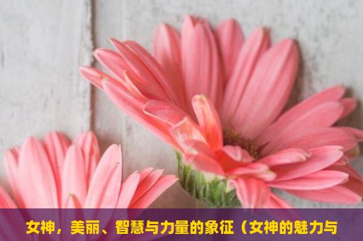 女神，美丽、智慧与力量的象征（女神的魅力与神秘）