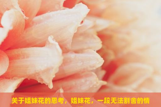 关于姐妹花的思考，姐妹花，一段无法割舍的情缘