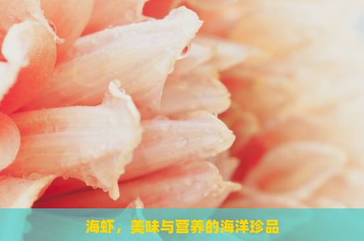 海虾，美味与营养的海洋珍品