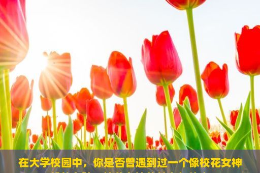 在大学校园中，你是否曾遇到过一个像校花女神般的女孩？校花女神的魅力与传奇