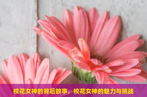 校花女神的背后故事，校花女神的魅力与挑战