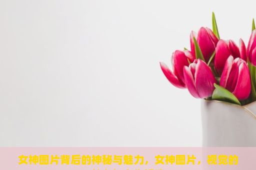 女神图片背后的神秘与魅力，女神图片，视觉的魅力与文化解读