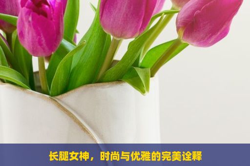 长腿女神，时尚与优雅的完美诠释