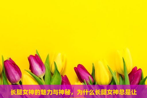 长腿女神的魅力与神秘，为什么长腿女神总是让人羡慕不已？