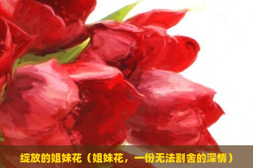 绽放的姐妹花（姐妹花，一份无法割舍的深情）