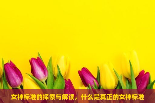 女神标准的探索与解读，什么是真正的女神标准？