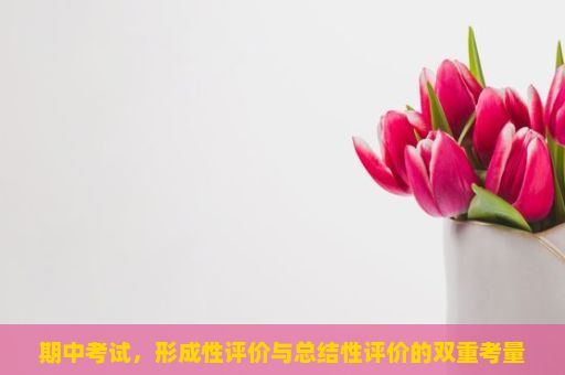 期中考试，形成性评价与总结性评价的双重考量