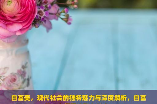 白富美，现代社会的独特魅力与深度解析，白富美，为何无法融入社会？