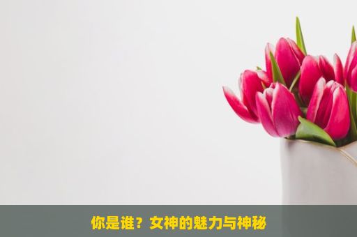 你是谁？女神的魅力与神秘