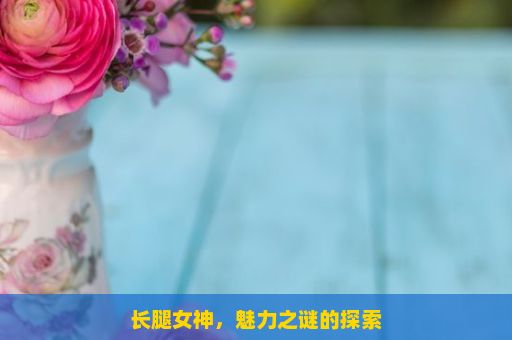 长腿女神，魅力之谜的探索