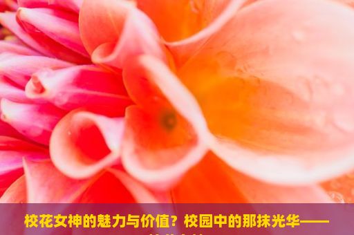 校花女神的魅力与价值？校园中的那抹光华——校花女神