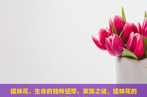 姐妹花，生命的独特纽带，家族之谜，姐妹花的传承与守护