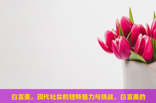 白富美，现代社会的独特魅力与挑战，白富美的生活方式与习惯？