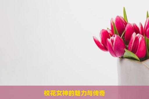 校花女神的魅力与传奇