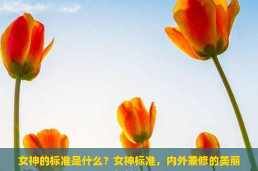 女神的标准是什么？女神标准，内外兼修的美丽与魅力